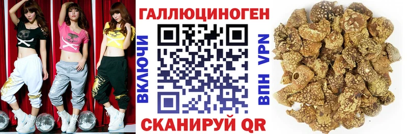 Купить где  Пятигорск  Псилоцибиновые грибы мицелий 